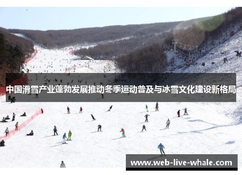 中国滑雪产业蓬勃发展推动冬季运动普及与冰雪文化建设新格局